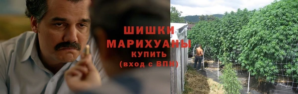 дживик Лагань