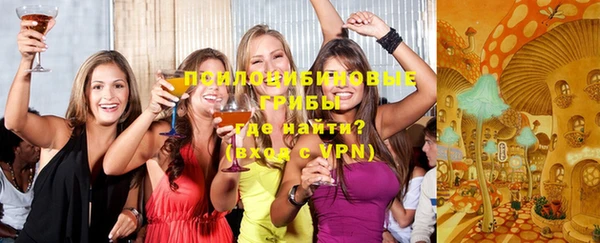 дживик Лагань