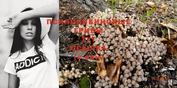 а пвп мука Ессентукская