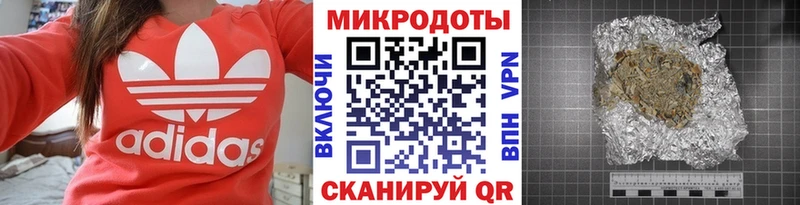 Псилоцибиновые грибы Psilocybe Березники