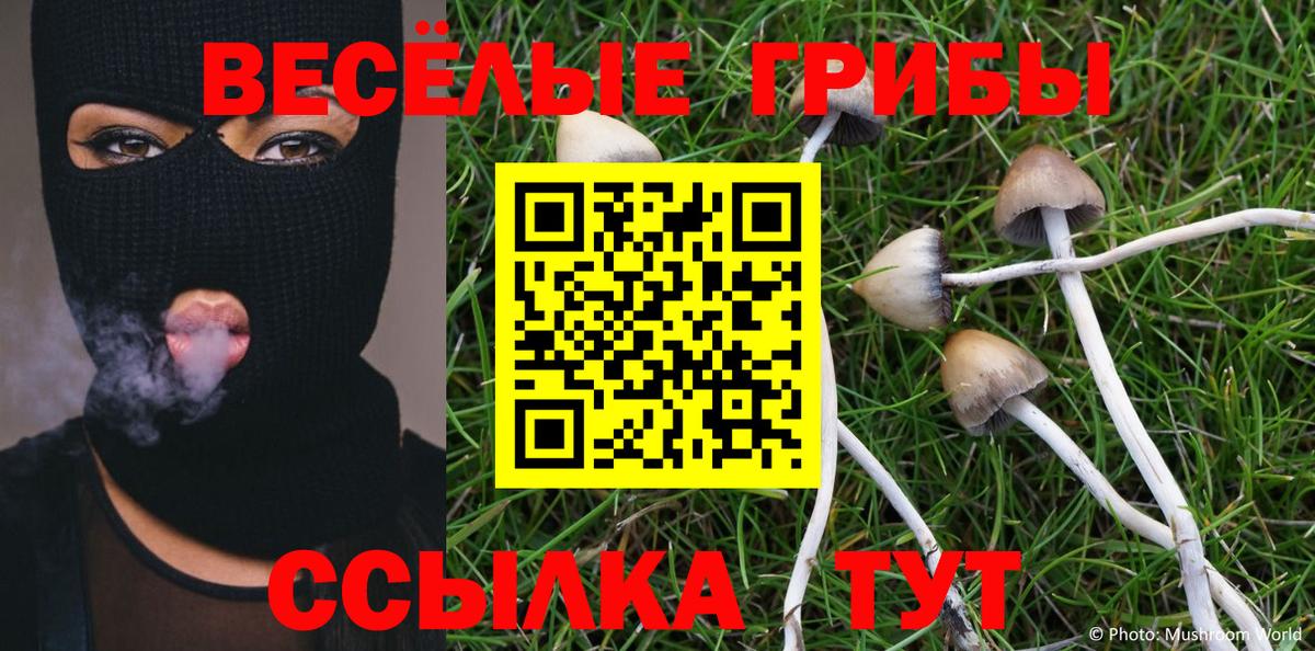 Галлюциногенные грибы Psilocybine cubensis Березники