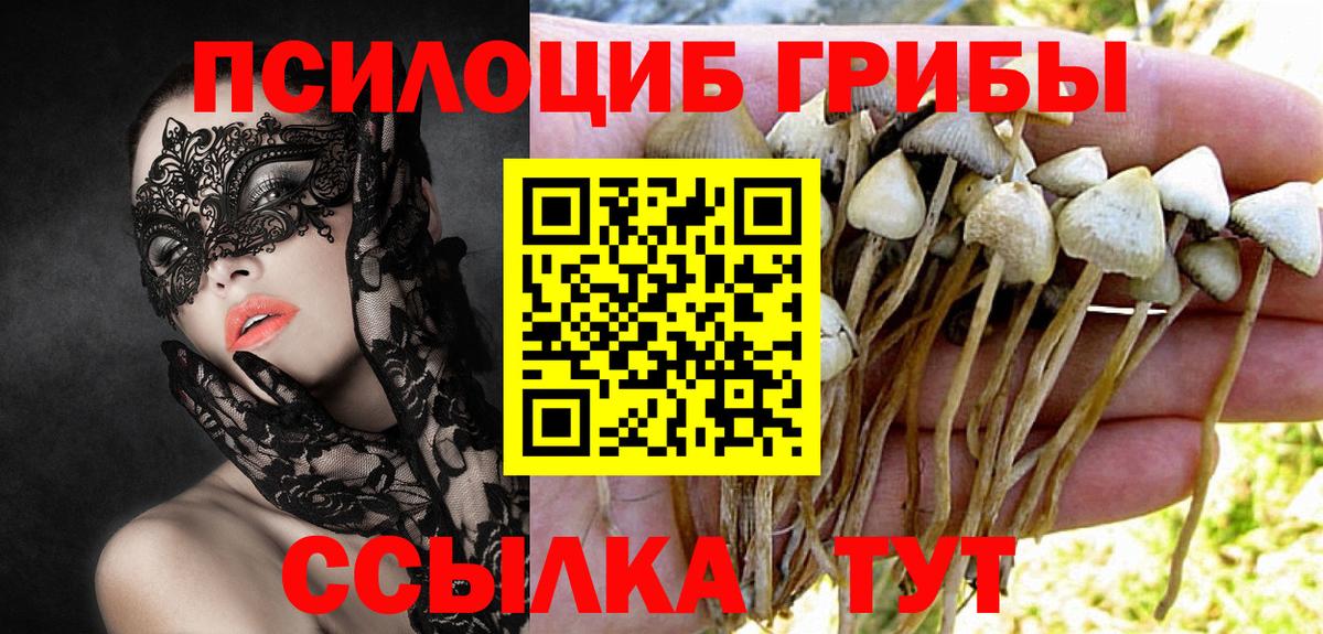 Псилоцибиновые грибы MAGIC MUSHROOMS  Вход с VPN  Галлюциногенные грибы прущие грибы  Березники 